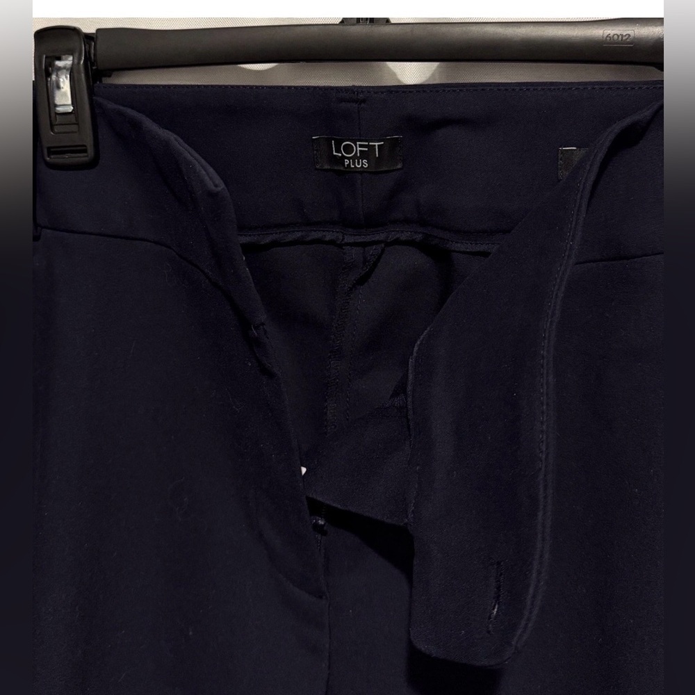 LOFT Womens Plus Size 22 Marisa Skinny Flat Front Button Zip Navy Pocket Pants - Picture 6 of 8
